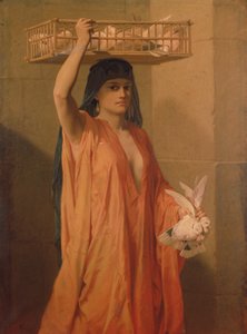 Un vendeur de colombes